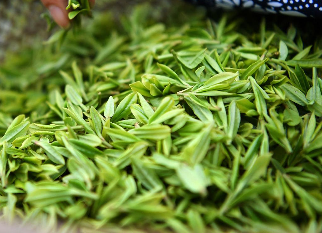 济南茶市3月“微冷”4月“回暖”：“平价茶”受大众追捧